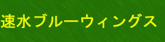 ����: [�����u���[�E�B���O�X]